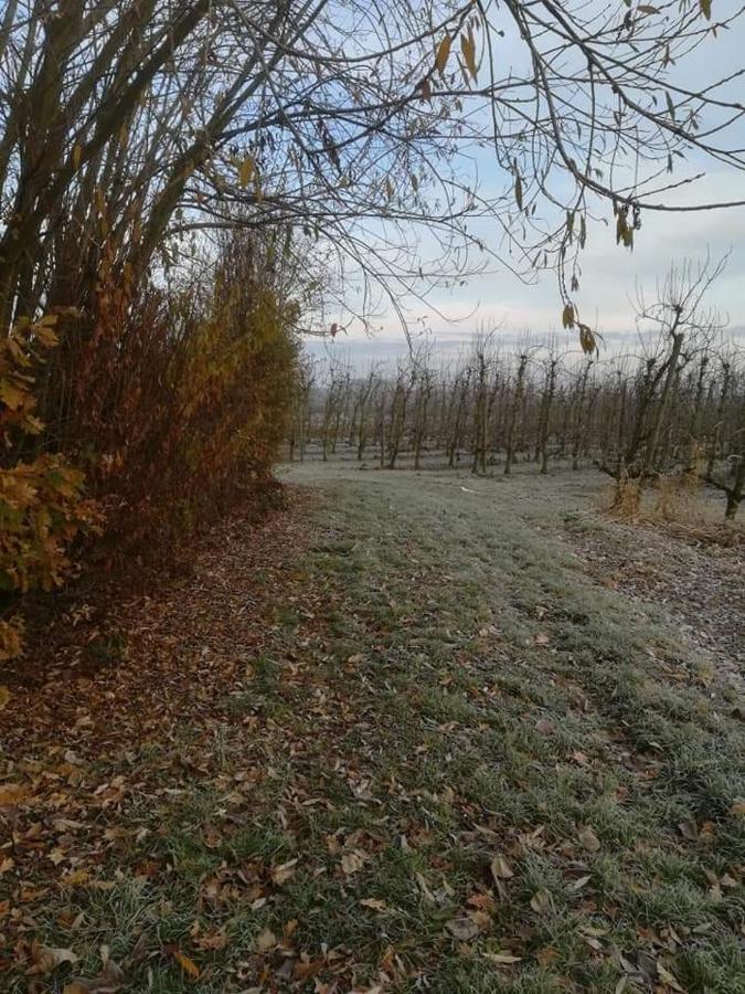 Vakantiewoning Upstairzzz Kortessem Екстер'єр фото